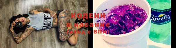 бошки Бородино