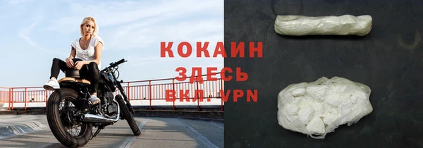 бошки Бородино