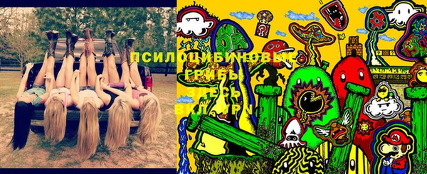 бошки Бородино