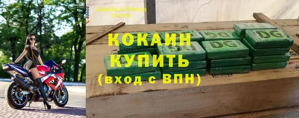 бошки Бородино