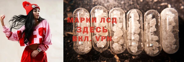 бошки Бородино