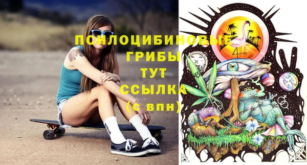 бошки Бородино