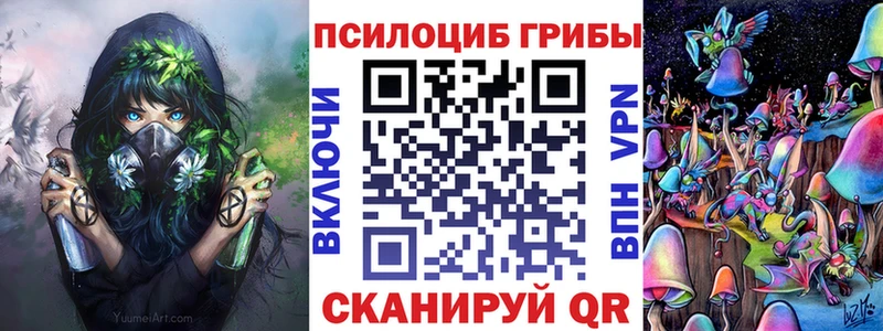 Псилоцибиновые грибы Magic Shrooms  закладка  Черноголовка 